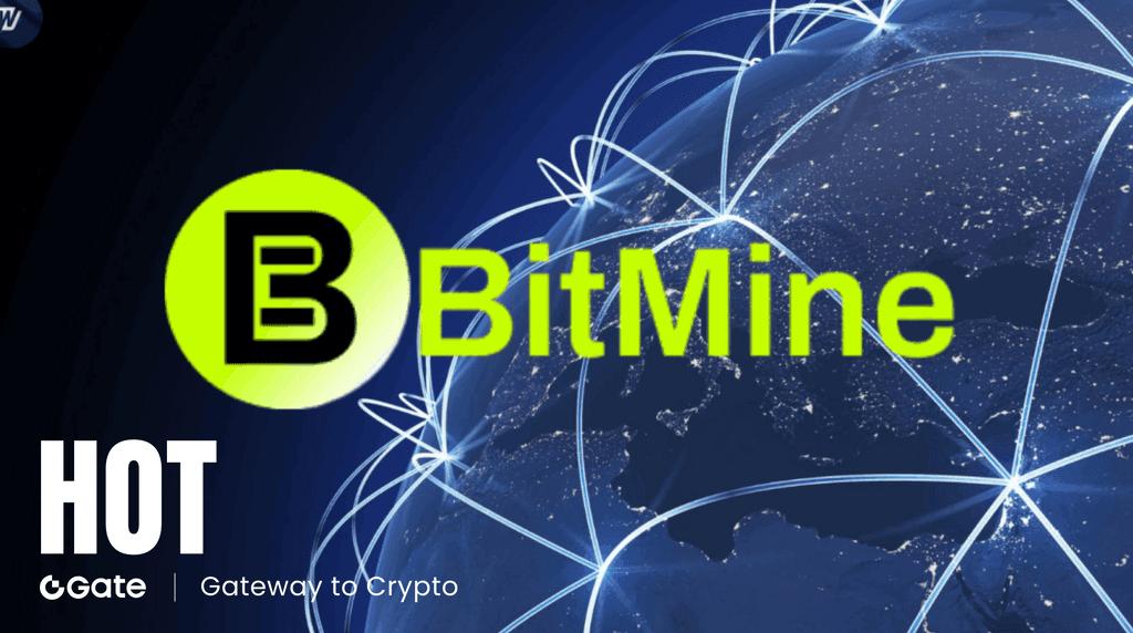 BitMine 以太坊质押规模突破 200 万枚，揭示 1.64 亿美元年化收益蓝图