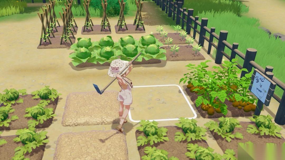 星砂岛将于2026年2月12日开启抢先体验，登陆PC与Xbox平台
