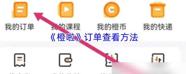 橙啦 订单查看方法