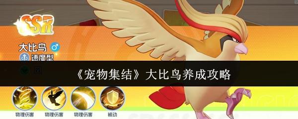 宠物集结 大比鸟养成攻略