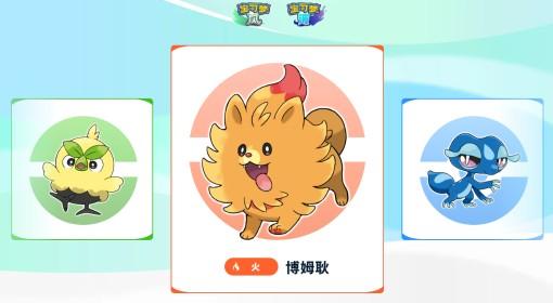 宝可梦：风/波 御三家介绍