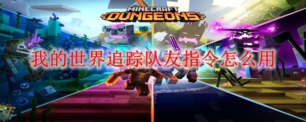 我的世界追踪队友指令怎么用