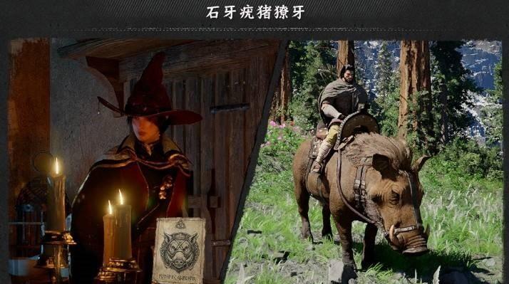 红色沙漠石牙疣猪怎么得