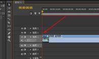 premiere视频画面怎么随意裁剪大小