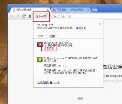 如何查看与验证Bing浏览器安全证书