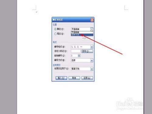 如何插入Word脚注