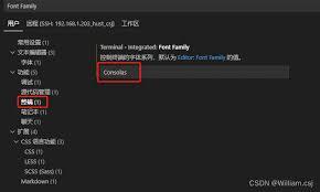 Vscode如何设置字母间距