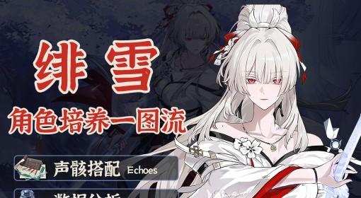 鸣潮 绯雪培养一图流