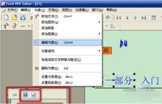 福昕PDF编辑器怎么设置PDF文档仿真放大镜