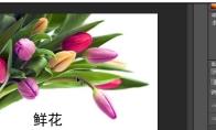 PS怎么批量复制图层与批量删除图层