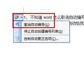 Word 2016如何取消自动编号功能