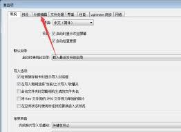 如何在Lightroom中关闭堆叠原始图像